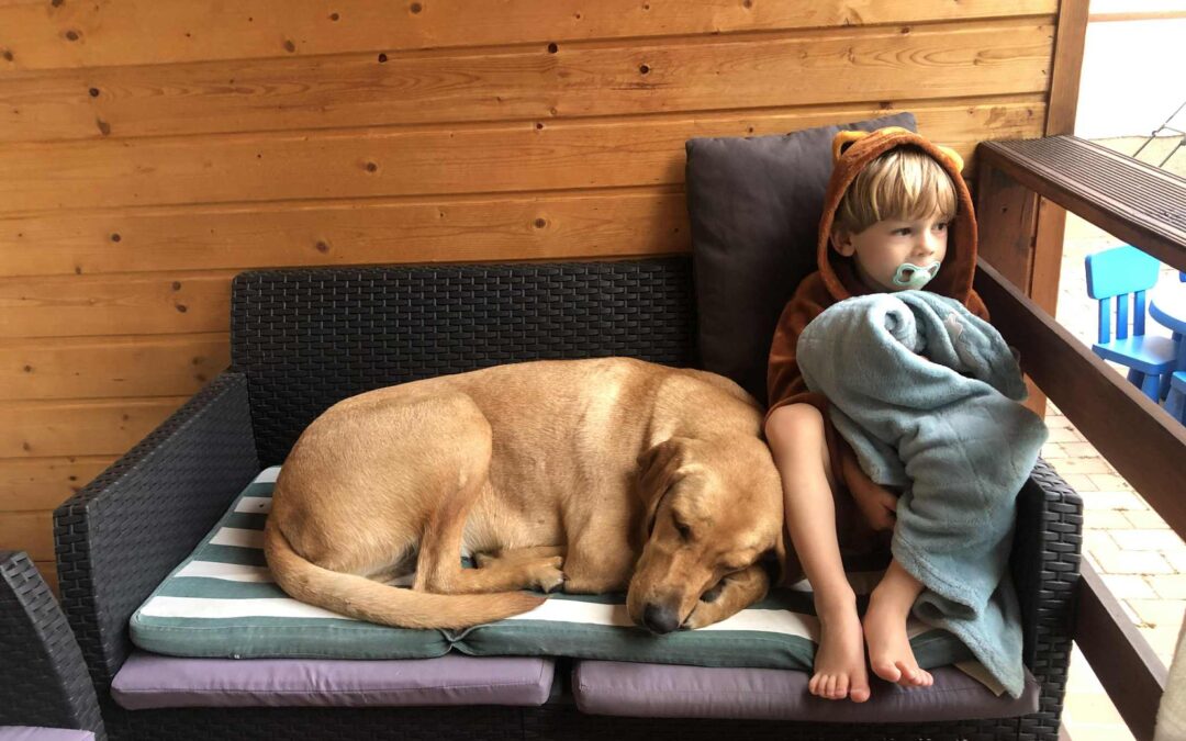 Családok figyelem! Nálunk a pihenés valóban gondtalan lehet Ópusztaszeren – gyerekekkel is!