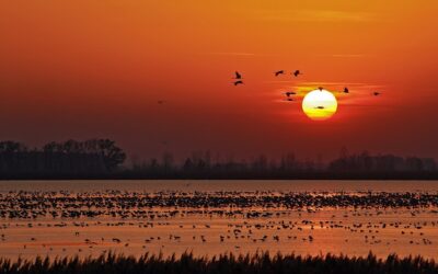 Van már programja november 15-re?